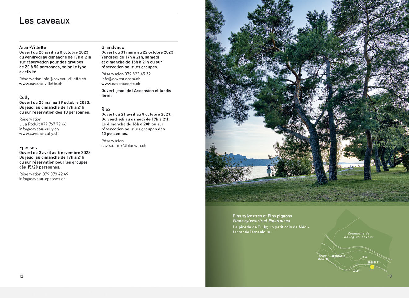 Brochure