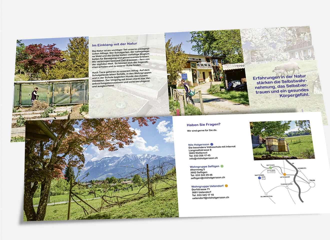 CI/Brochure